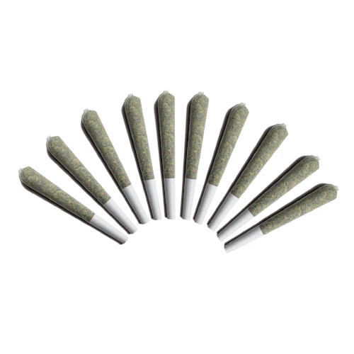 1067061_1_500x500.progressive