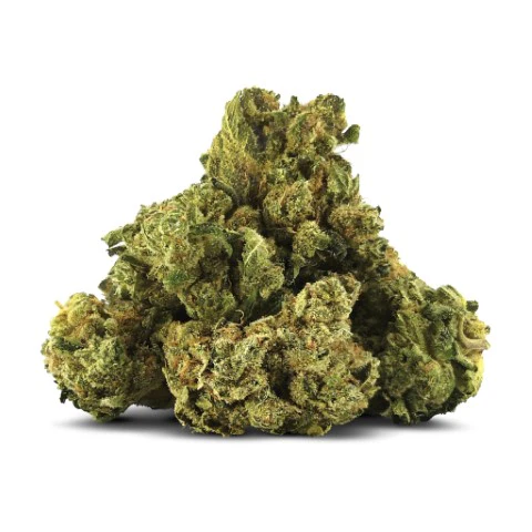 1067088_jpg_480x480.progressive